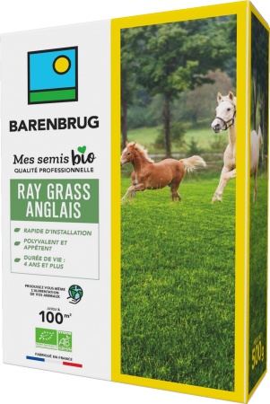 BARENBRUG - Ray-grass Anglais BIO - Rapide D'Installation